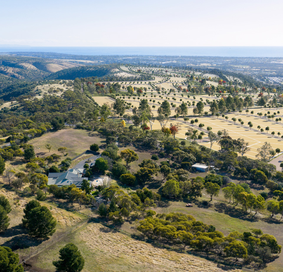 Aerial view over rolling hills and scattered gum trees at Edenridge, with the coastline in the distance