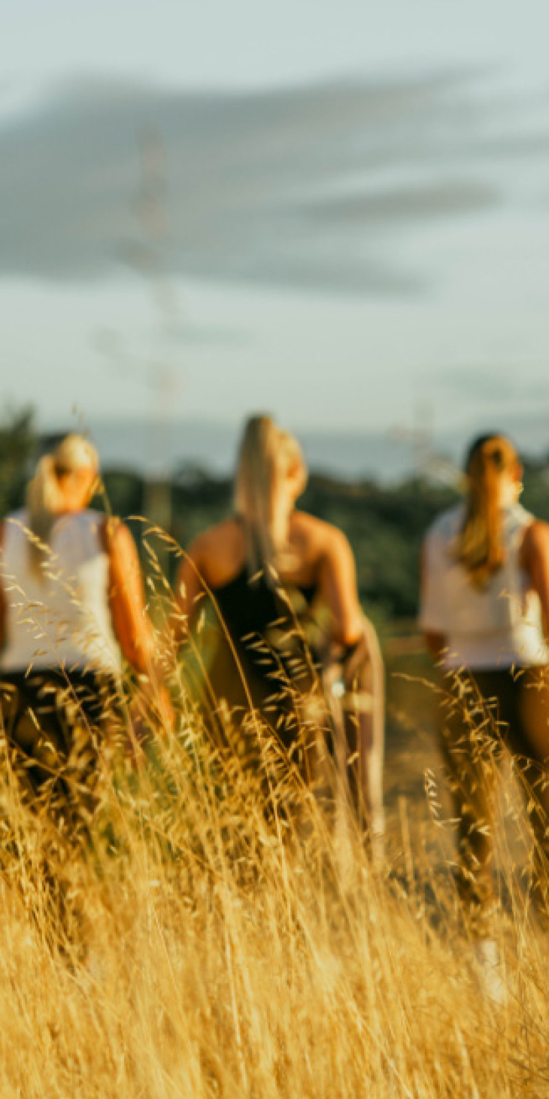Three women walking through tall dry grass at golden hour
